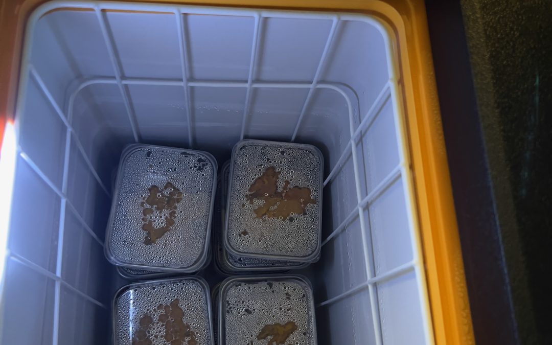 Packed our lunches in our road fridge